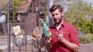 Naturen: insecten in je tuin bestrijden