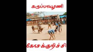 #shorts #vadamadu Manjuvirattu கோசக்குறிச்சி vs கருப்பாயூரணி குழு விரர்கள்😍#shortvideo#shorts