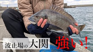 チヌを「のべ竿」で釣る人【のべ竿クラブ】