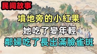 民間故事合集：墳地旁的小紅果，她吃了變年輕，鄰婦吃了長出滿臉雀斑