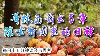 每日十五分钟读经与思考 - 哥林多前书 5 章 “除去新团里的旧酵”