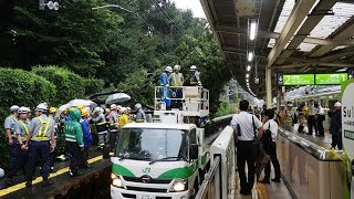 【緊急事態】JR山手線の原宿駅で倒木がホーム直撃