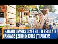 Thailand Unveils Draft Bill to Regulate Cannabis | Zero ฿ Tours | Thai News