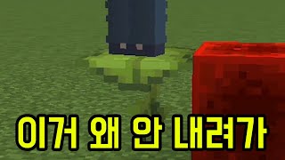 흘림잎 전기 받으니까 안 숙이네?(마인크래프트)