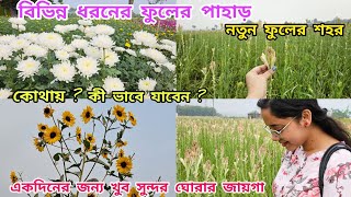 Ranaghat Chapra Flower Garden | Ranaghat Fuller Bagan | Ranaghat Chapra Flower valley| One Day tour|