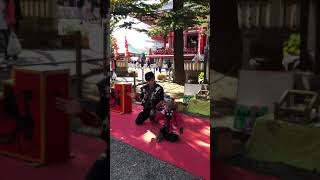 Jr.2 / ジュニアジュニア at 浅草神社 〜猿回し〜 日光さる軍団「練習中」 #shorts