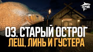 Старый Острог: Лещ, Линь, Густера ● Форумный турнир \