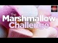 Marshmallow Challenge