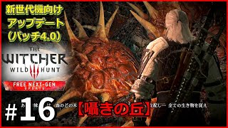 【The Witcher 3 Wild Hunt Complete Edition】#16　新世代機向けアップデート（V4.00）【ウィッチャー3 ワイルドハント コンプリートエディション】