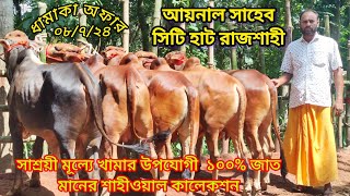 ধামাকা অফার!  খামার উপযোগী ৫ পিচ ১০০% জাত মানের শাহীওয়াল ও গীর গরুর লট মাত্র ১১৩ #সিটি_হাট #রাজশাহী