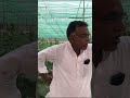 मुकेश जी ने अपने खेत में किया इन चीज़ो का प्रयोग souleducation tcbt soul krishi naturalfarming