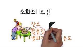 꺼지지 않는 촛불