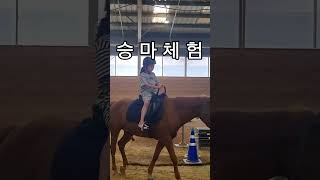 경기도 안성 팜랜드에서 승마체험