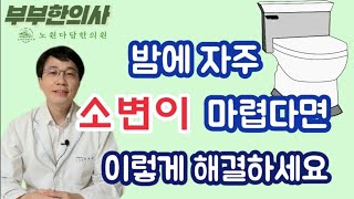 87. 밤에 자주 소변이 마렵다면 이렇게 해결하세요(야간뇨) | 한의학박사, 침구과전문의, 산청김, 김경태원장 ㅣft 부부한의사