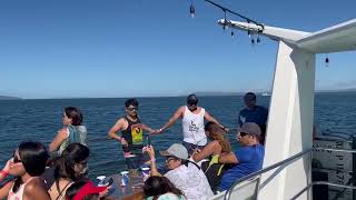 Jaco Elite VIP concierge escorting a group to Tortuga Island Costa Rica  #short #shortsfeed #shorts