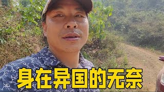 好容易从泥坑把车拉出来，结果发现又返回原路，两天的路白走了【流浪的独孤老狼】