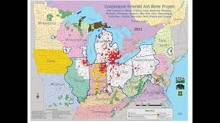 2022 invasive insects webinar series Day 2