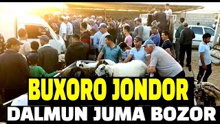 BUXORO JONDOR/ DALMUN JUMA MOL BOZOR @jondoruz5002