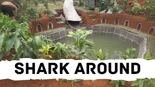 2 Day Building House Shark Around Underground Swimming Pool