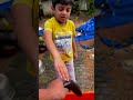 പാമ്പ് പോലത്തെ മീൻ ലൂക്കാച്ചന് തൊടണം എന്ന് 🤣 fish fishlovers eel aquariumfish