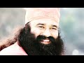 bhagwan tera insan भगवान तेरा इन्सान new latest song sent guru msg🎶🎶🎶 latestsong music msg