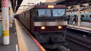 【約１時間１０分遅れ】JR貨物EH500形2号機＋コキ20B（両）が赤羽駅5番線を低速通過するシーン（3054レ・仙貨A113・コンテナ輸送）2024.11.8