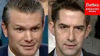 Tom Cotton Questions Pete Hegseth About Physical Demands Of Military Members