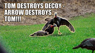 Tom Destroys Decoy - Arrow Destroys Tom!!!