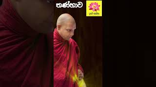 තණ්හාව | Ven. Meegahakiwle Maithree Thero