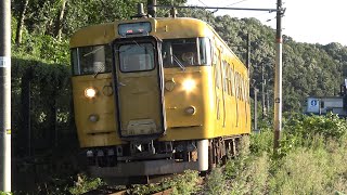 【4K】JR福塩線　普通列車115系電車　ｵｶD-25編成