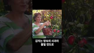 아침 공복에 반드시 먹어야 하는 보약만큼 좋은 음식 3가지 #shorts #다이어트