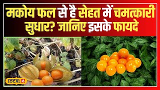 Health Tips: मकोय फल से सेहत में चमत्कारी बदलाव! जानें इसके अनगिनत फायदे! #local18