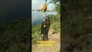 Lake fishing Nanmangalam