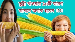 যে ১০ টি কারনে ভুট্টা খাবেন | Health Benefits Of Maize | ভুট্টা চাষ | Bangla Health Tips | Corn