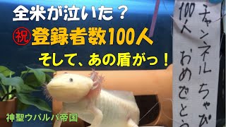 【祝・登録者数１００人達成っ！そしてあの盾がっ？】皆さまのご支援の賜物です♪そのお祝い動画と、あの盾が届いた？