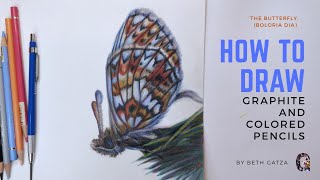 How to Draw a Butterfly in Graphite and Colored Pencil  // HOW-TO ART // EP. 1