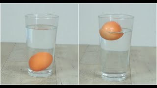 Come capire se le uova sono fresche