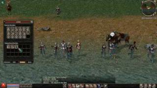 Metin2 US - Random Fun 36