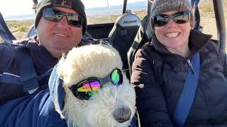 Tribute to Bailey - forever in our hearts