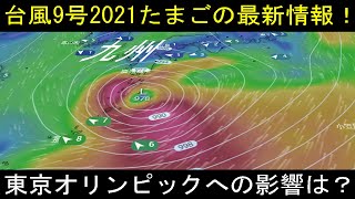 台風9号2021年たまご発生の最新情報！進路予想は九州と近畿に最接近か？