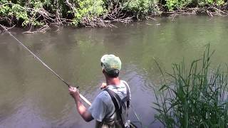 Vermillion River, BAM!