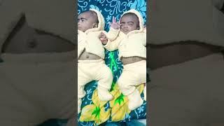 DAY58 our Twins angels ഒറ്റ ഫ്രെയിമിൽ ഇരട്ടമാലാഖകൾ  #twins #twinsbaby  #mybaby  #dad #shortsvideos