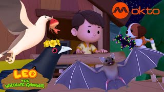 A STRANGE BIRD is following me EVERYWHERE! | Leo the Wildlife Ranger Compilation | @mediacorpokto