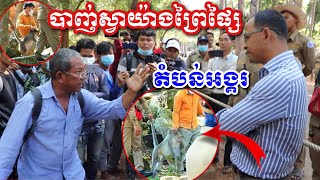 ជម្លោះ YouTuber ថតស្វា \u0026 អាជ្ញាធរ អប្សរា ប្រមូលចាប់ស្វា តំបន់អង្គរ យ៉ាងព្រៃផ្សៃ- Catching Monkeys