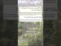 Ayat Surah Yunus untuk pembatal sihir #like#follow#share#syafaatselawatnabimuhammad