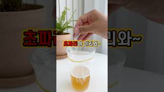 (TIP) 맥주 컵에 빨대를 꽂으면 놀라운 일이 생겨요 #살림꿀팁