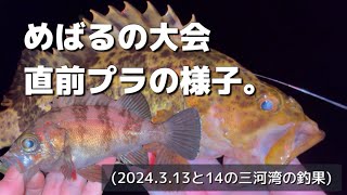 この動画が投稿される頃には大会終わってますね。(2024.3.13と3.14の三河湾の釣果)