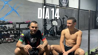 Día 14 convirtiéndome en campeón mundial de boxeo. ¡SPARRING!