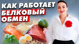 Причины нарушения белкового обмена, которые нельзя игнорировать!