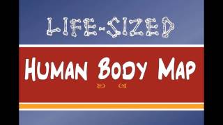 Human Body Map 2017